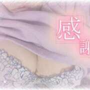 ヒメ日記 2025/08/02 23:28 投稿 フグ　河豚 女の子市場