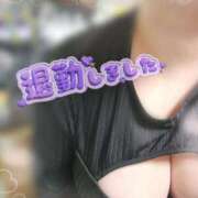 ヒメ日記 2025/08/07 01:18 投稿 フグ　河豚 女の子市場