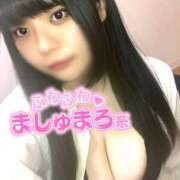 ヒメ日記 2024/12/19 11:50 投稿 らいと 巨乳専科パンチラボイン横浜