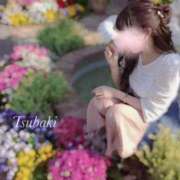 ヒメ日記 2025/03/13 09:22 投稿 つばき ごほうびSPA上野店