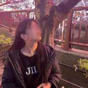 ヒメ日記 2025/04/07 12:06 投稿 碧井さつき デリス新宿