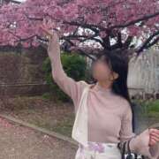 ヒメ日記 2025/04/29 12:05 投稿 碧井さつき デリス新宿