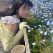 ヒメ日記 2025/04/30 07:14 投稿 碧井さつき デリス新宿