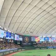 ヒメ日記 2025/09/14 10:34 投稿 碧井さつき デリス新宿