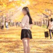 ヒメ日記 2025/12/16 16:15 投稿 碧井さつき デリス新宿