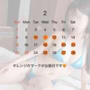 ヒメ日記 2026/02/11 14:14 投稿 碧井さつき デリス新宿