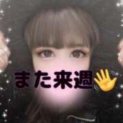 ヒメ日記 2025/02/07 18:24 投稿 藤井 あこ マーベリック横浜