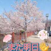 ヒメ日記 2026/04/02 21:14 投稿 藤井 あこ マーベリック横浜
