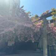 ヒメ日記 2025/03/23 19:03 投稿 あるま 鶯谷デリヘル倶楽部