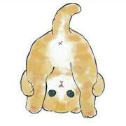 ヒメ日記 2024/12/22 20:42 投稿 悠月澄夏(ゆうづきすみか) 五十路マダムエクスプレス厚木店(カサブランカグループ)