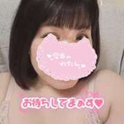 ヒメ日記 2025/04/11 10:52 投稿 悠月澄夏(ゆうづきすみか) 五十路マダムエクスプレス厚木店(カサブランカグループ)