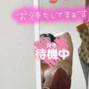 ヒメ日記 2025/04/11 18:02 投稿 悠月澄夏(ゆうづきすみか) 五十路マダムエクスプレス厚木店(カサブランカグループ)