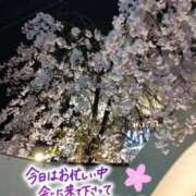 ヒメ日記 2025/04/12 23:02 投稿 悠月澄夏(ゆうづきすみか) 五十路マダムエクスプレス厚木店(カサブランカグループ)