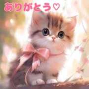 ヒメ日記 2025/05/01 15:50 投稿 悠月澄夏(ゆうづきすみか) 五十路マダムエクスプレス厚木店(カサブランカグループ)