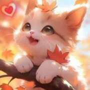 ヒメ日記 2025/11/08 15:04 投稿 悠月澄夏(ゆうづきすみか) 五十路マダムエクスプレス厚木店(カサブランカグループ)