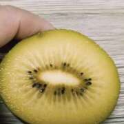 ヒメ日記 2025/12/16 13:06 投稿 悠月澄夏(ゆうづきすみか) 五十路マダムエクスプレス厚木店(カサブランカグループ)