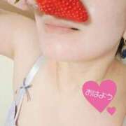 ヒメ日記 2026/01/29 10:12 投稿 悠月澄夏(ゆうづきすみか) 五十路マダムエクスプレス厚木店(カサブランカグループ)