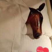 ヒメ日記 2026/02/11 10:00 投稿 悠月澄夏(ゆうづきすみか) 五十路マダムエクスプレス厚木店(カサブランカグループ)