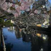 悠月澄夏(ゆうづきすみか) ★◯◯ってステキよね★ 五十路マダムエクスプレス厚木店(カサブランカグループ)