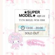 ★SUPER MODEL★ 完売🐈‍⬛🎀 Cinderella Collection(シンデレラコレクション)