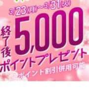 ヒメ日記 2026/03/23 08:20 投稿 おと 即トク奥さん