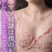 ヒメ日記 2025/03/04 17:49 投稿 はるひ Versailles