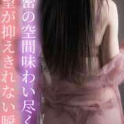 ヒメ日記 2025/03/06 11:43 投稿 はるひ Versailles