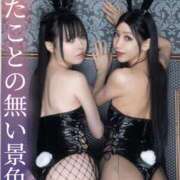 ヒメ日記 2025/03/20 10:41 投稿 はるひ Versailles