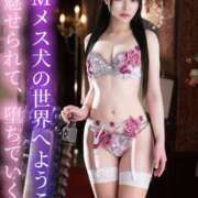 ヒメ日記 2025/04/28 12:59 投稿 はるひ Versailles