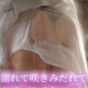 ヒメ日記 2025/07/17 10:32 投稿 はるひ Versailles