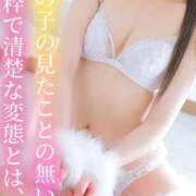 ヒメ日記 2025/09/23 11:21 投稿 はるひ Versailles