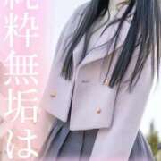 ヒメ日記 2025/11/21 08:48 投稿 はるひ Versailles