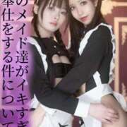 ヒメ日記 2025/11/22 02:11 投稿 はるひ Versailles