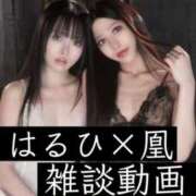 ヒメ日記 2025/12/22 01:31 投稿 はるひ Versailles