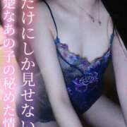 ヒメ日記 2025/12/31 18:11 投稿 はるひ Versailles