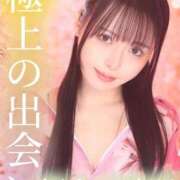 ヒメ日記 2026/03/19 07:31 投稿 はるひ Versailles