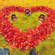 ヒメ日記 2024/12/09 01:30 投稿 おとか 奥鉄オクテツ神奈川店（デリヘル市場グループ）