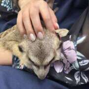 ヒメ日記 2025/04/02 11:30 投稿 おとか 奥鉄オクテツ神奈川店（デリヘル市場グループ）