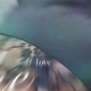 ヒメ日記 2025/08/12 22:09 投稿 夏目　かおる 快楽園 大阪梅田