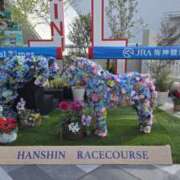 夏目　かおる 🌹推しは推せるとき推せ！！！ 快楽園 大阪梅田