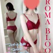 ヒメ日記 2025/03/03 12:55 投稿 絵真-Ema- Aroma Bloom（アロマブルーム）