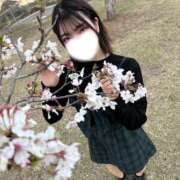 ヒメ日記 2025/04/05 06:35 投稿 絵真-Ema- Aroma Bloom（アロマブルーム）