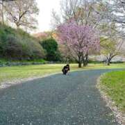 ヒメ日記 2025/04/12 08:35 投稿 絵真-Ema- Aroma Bloom（アロマブルーム）