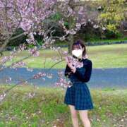 ヒメ日記 2025/04/13 11:45 投稿 絵真-Ema- Aroma Bloom（アロマブルーム）