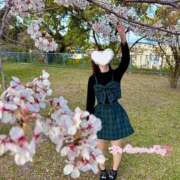 ヒメ日記 2025/04/26 23:26 投稿 絵真-Ema- Aroma Bloom（アロマブルーム）