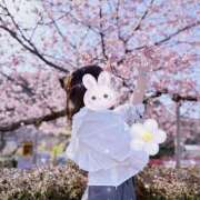 ヒメ日記 2026/03/17 19:21 投稿 ふぅ 治療院.LOVE小山店