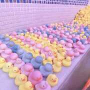 ヒメ日記 2026/04/05 19:48 投稿 ふぅ 治療院.LOVE小山店