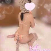 ヒメ日記 2025/03/29 13:04 投稿 しおり 舐めていいとも！柏店