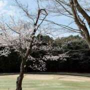 ヒメ日記 2025/04/09 21:48 投稿 まきは 4/30体験入店!!! Office Love　町田店（Loveグループ）