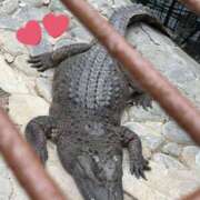 ヒメ日記 2025/05/13 12:58 投稿 まきは 4/30体験入店!!! Office Love　町田店（Loveグループ）